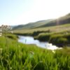 Spruch geburt