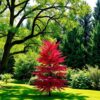 Welche bäume für den garten