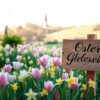 Oster glückwünsche